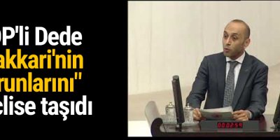 HDP'li Dede 'Hakkari'nin sorunlarını' meclise taşıdı