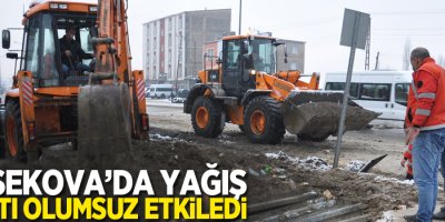 Yüksekova'da yağış hayatı olumsuz etkiledi!