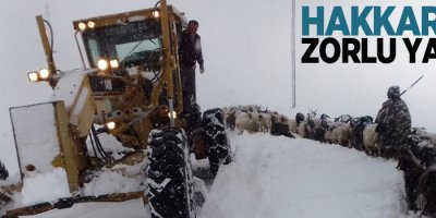 Hakkari'de zorlu yaşam