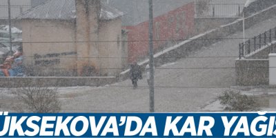 Yüksekova’da kar yağışı