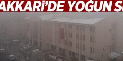 Hakkari’de yoğun sis