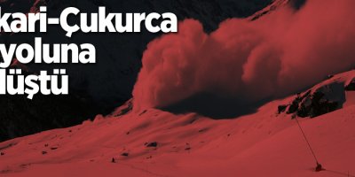 Hakkari-Çukurca karayoluna çığ düştü