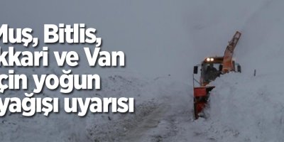 Muş, Bitlis, Hakkari ve Van için yoğun kar yağışı uyarısı
