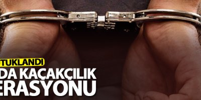 Van'da operasyon: 2 tutuklama