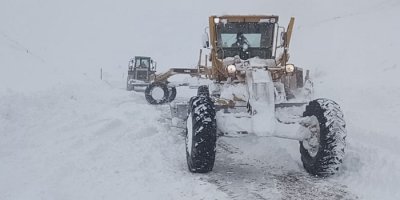 Van'da kar yağışı ve fırtına