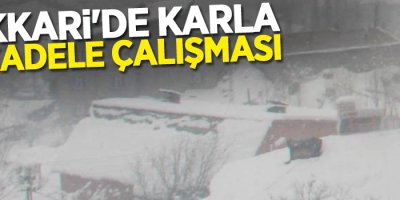 Hakkari'de karla mücadele çalışması