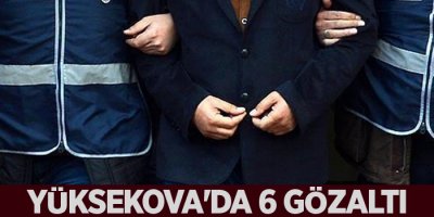 Yüksekova'da 6 gözaltı
