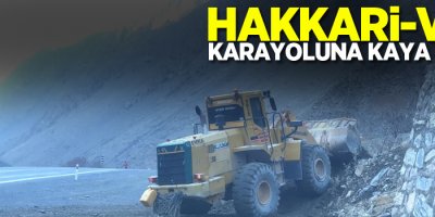 Hakkari-Van karayoluna kaya düştü