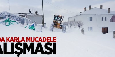 Gürpınar’da karla mücadele çalışması