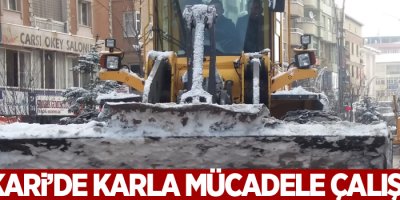 Hakkari Belediyesinden karla mücadele çalışması