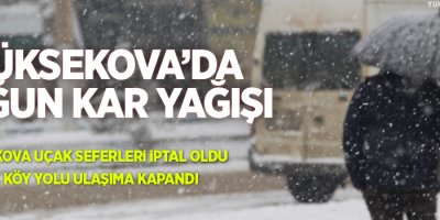 Yüksekova'da yoğun kar yağışı