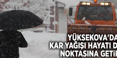 Yüksekova'da kar yağışı hayatı durma noktasına getirdi