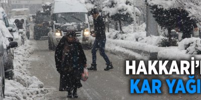 Hakkari’de kar yağışı