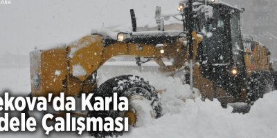 Yüksekova'da Karla Mücadele Çalışması