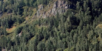 Helikopter düştü: 4 ölü