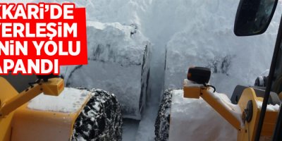 Hakkari’de 119 yerleşim yerinin yolu kapandı