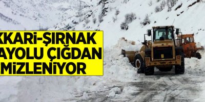Hakkari-Şırnak karayolu çığdan temizleniyor