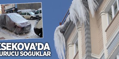 Yüksekova'da dondurucu soğuklar