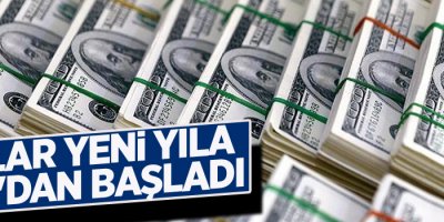 Dolar yeni yıla 5.30'dan başladı