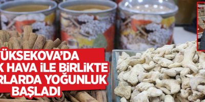 Yüksekova'da soğuk hava ile birlikte aktarlarda yoğunluk başladı
