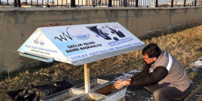 Yaban ve sokak hayvanları için yemleme çalışması