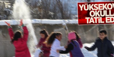 Yüksekova'da okullar tatil edildi