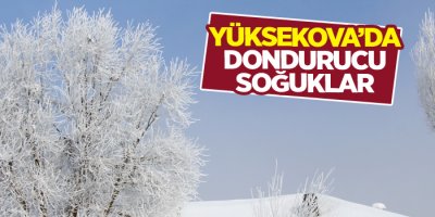 Yüksekova'da dondurucu soğuklar