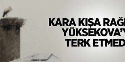 Kara kışa rağmen Yüksekova’yı terk etmedi