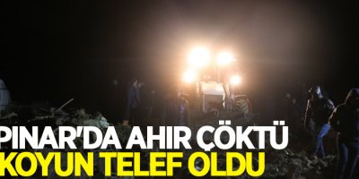 Gürpınar'da ahır çöktü 75 koyun telef oldu
