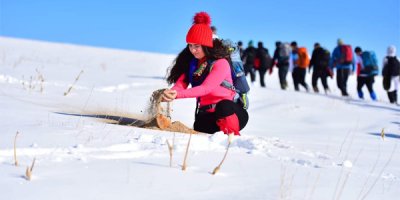 Dağcılardan yaban hayvanları için yemleme çalışması