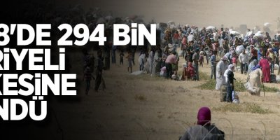 2018'de 294 bin Suriyeli ülkesine döndü