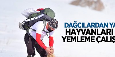 Dağcılardan yaban hayvanları için yemleme çalışması