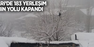 Yüksekova’da 35 köy ve 64 mezra yolu kapandı