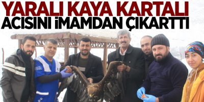 Yaralı kaya kartalı acısını imamdan çıkarttı