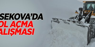 Yüksekova’da yol açma çalışması