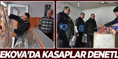 Yüksekova'da Kasaplar Denetlendi