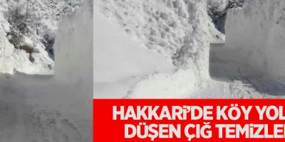 Köy yoluna düşen çığ temizlendi