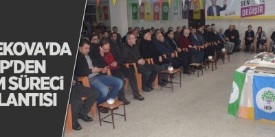 Yüksekova'da HDP'den seçim süreci toplantısı