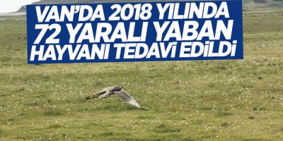 Van’da 2018 yılında 72 yaralı yaban hayvanı tedavi edildi