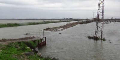 Baraj kapakları açıldı, mahalleri su bastı
