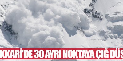 Hakkari’de 30 ayrı noktaya çığ düştü