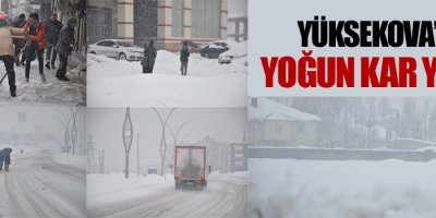Yüksekova'da Yoğun Kar Yağışı