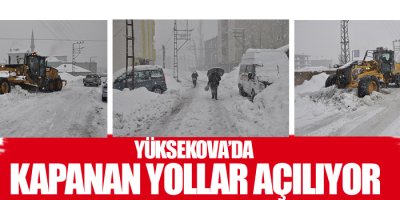 Yüksekova'da kapanan yollar açılıyor