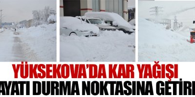 Yoğun Kar Yağışı İlçede Hayatı Durma Noktasına Getirdi