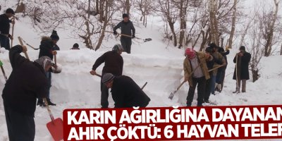 Karın ağırlığına dayanamayan ahır çöktü: 6 hayvan telef oldu