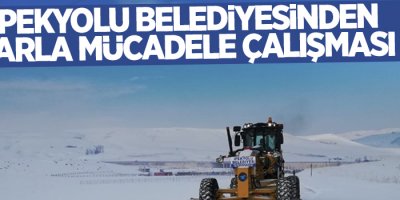 İpekyolu Belediyesinden karla mücadele çalışması