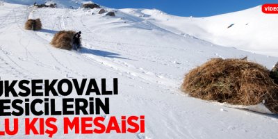 Yüksekovalı besicilerin zorlu kış mesaisi