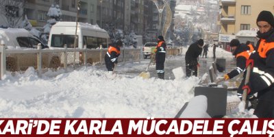 Hakkari’de karla mücadele çalışması
