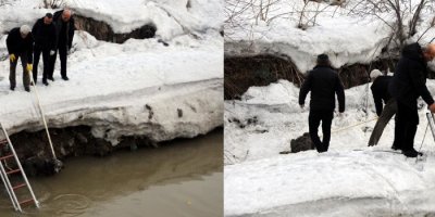 Yüksekova Deresinde mahsur kalan köpek kurtarıldı