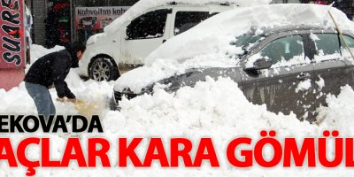 Yüksekova'da araçlar kara gömüldü